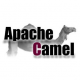 Apache Camel Training in Nepal